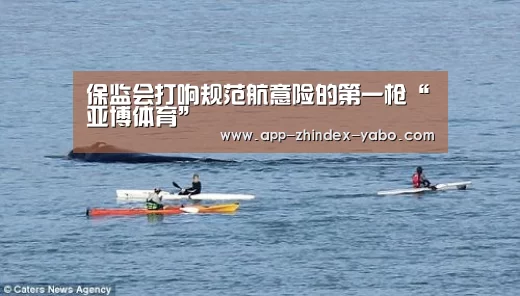 保监会打响规范航意险的第一枪“亚博体育”(图2) 亚博